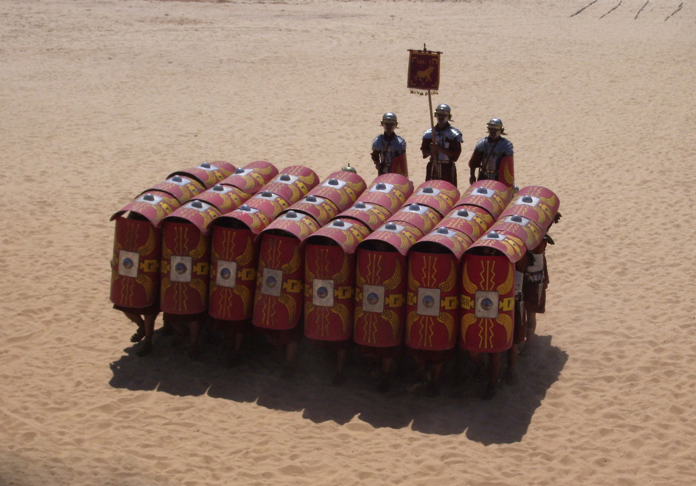 Testudo