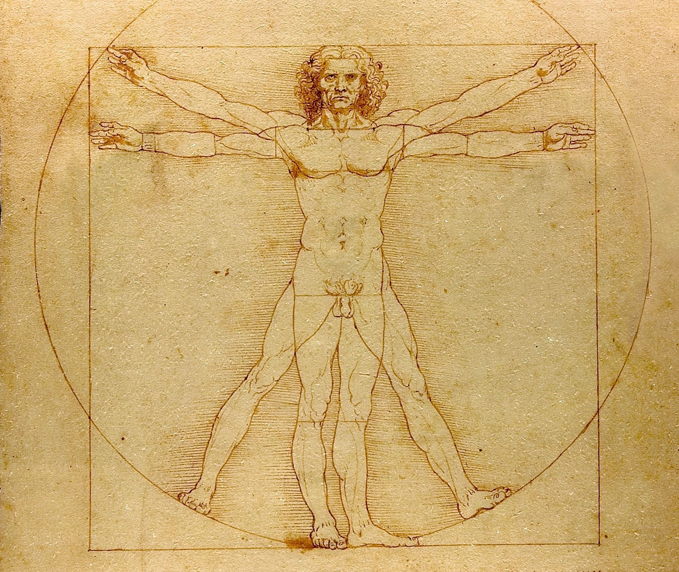 vitruvian-man.jpg