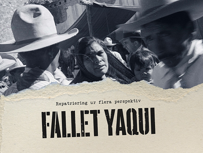 Cover image for the yaqui case. photography.